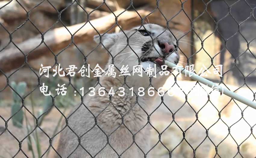 不銹鋼繩網發黑